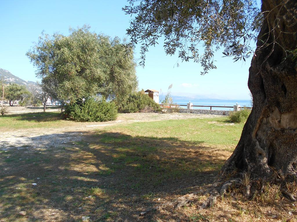 Lukia Barbati Mare Villa Kültér fotó